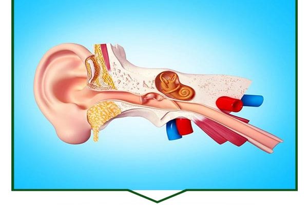 بیماری خود ایمنی گوش